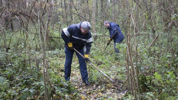 Do what you can day 2019 5