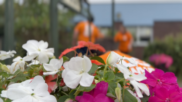 Do What You Can Day 2023