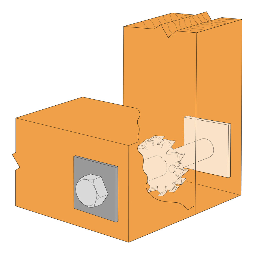 Toothed Plate Timber Connector DSTC / SSTC Simpson StrongTie